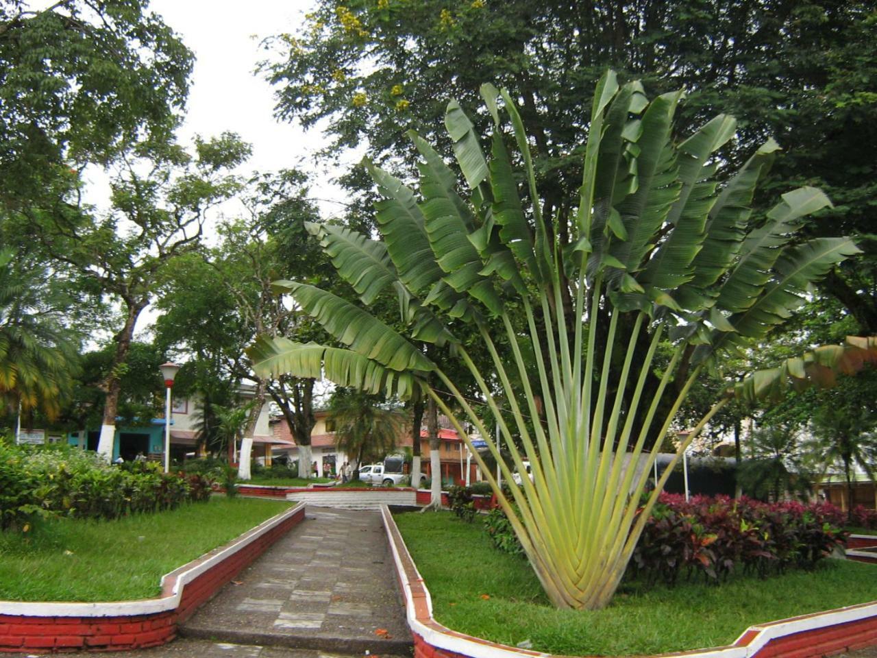 Hotel Casa Trujillo Норкасия Экстерьер фото